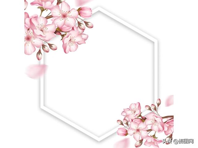 免抠素材|清新好看的樱花边框素材-5.jpg