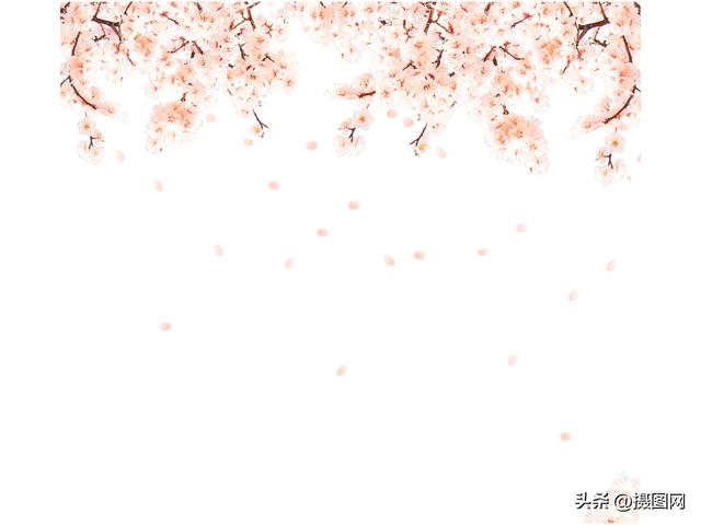 免抠素材|清新好看的樱花边框素材-8.jpg
